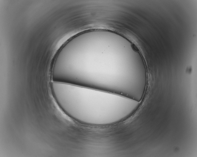 X0000111131141200906301059