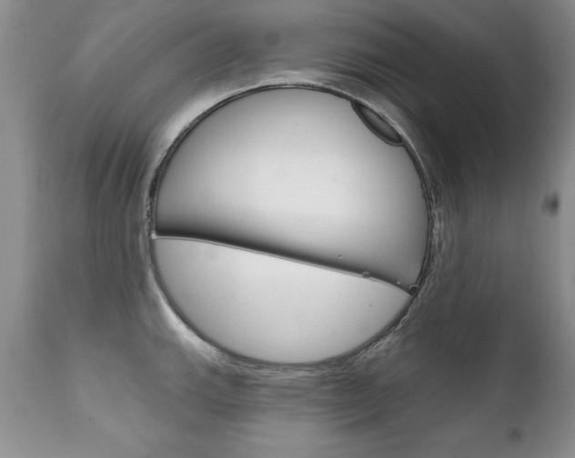 X0000111131143200906301059