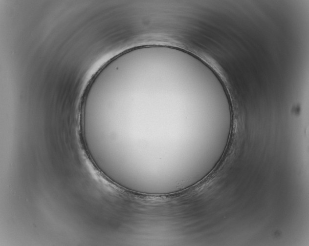 X0000111131144200906301059
