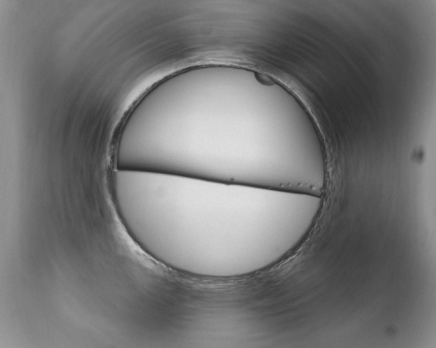 X0000111131147200906301059