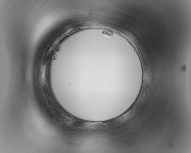 X0000111131150200906301059