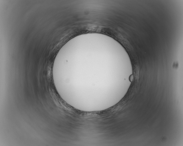 X0000111131154200906301058