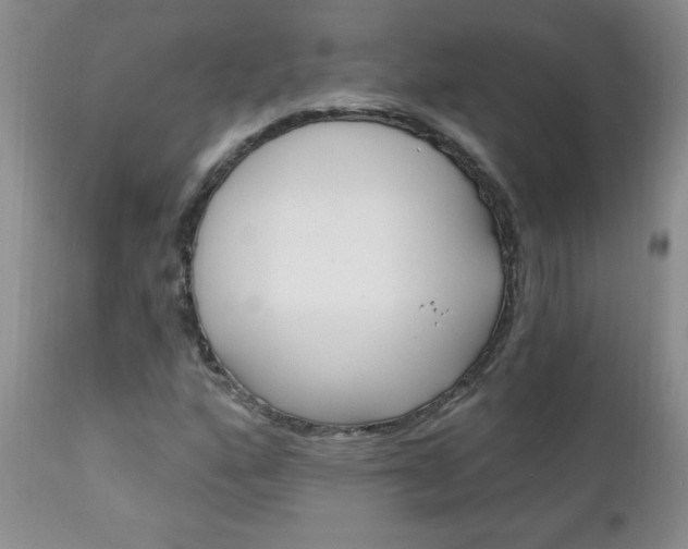 X0000111131160200906301058