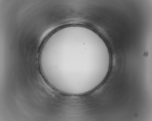 X0000111131164200906301058
