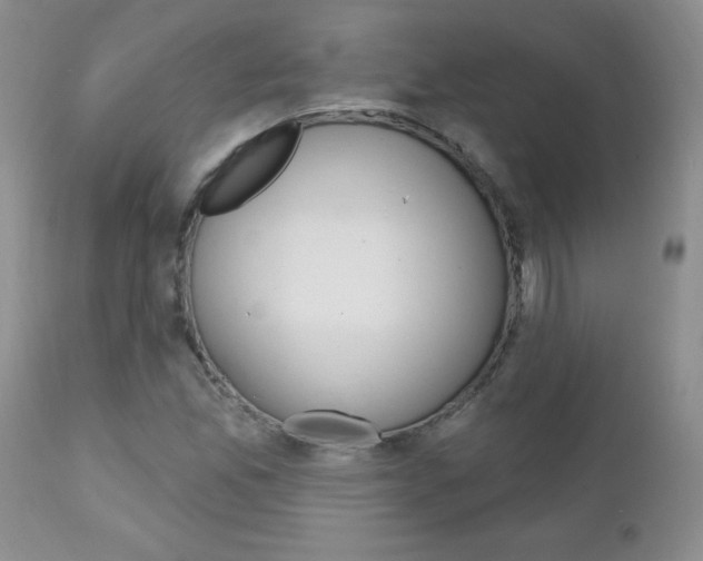 X0000111131165200906301058