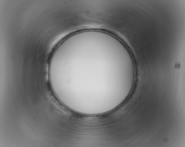X0000111131171200906301058