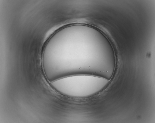 X0000111131176200906301058