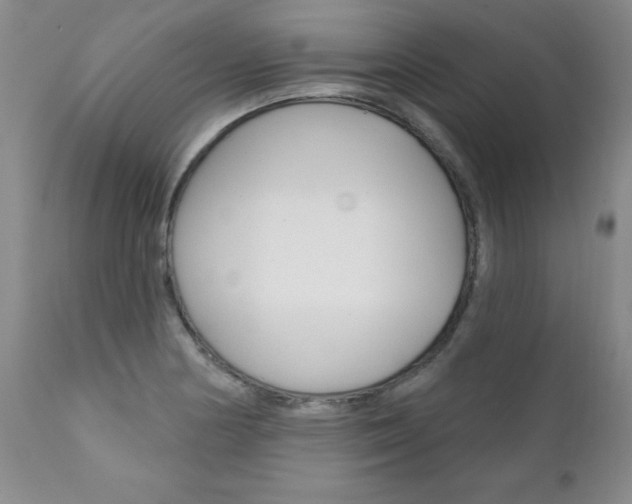 X0000111131178200906301058