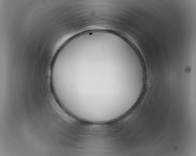 X0000111131179200906301058
