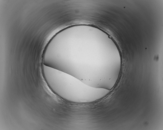X0000111131187200906301058