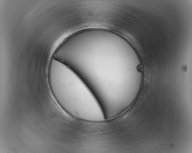 X0000111131188200906301058