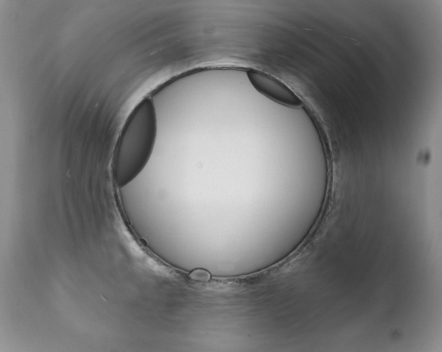 X0000111131189200906301058
