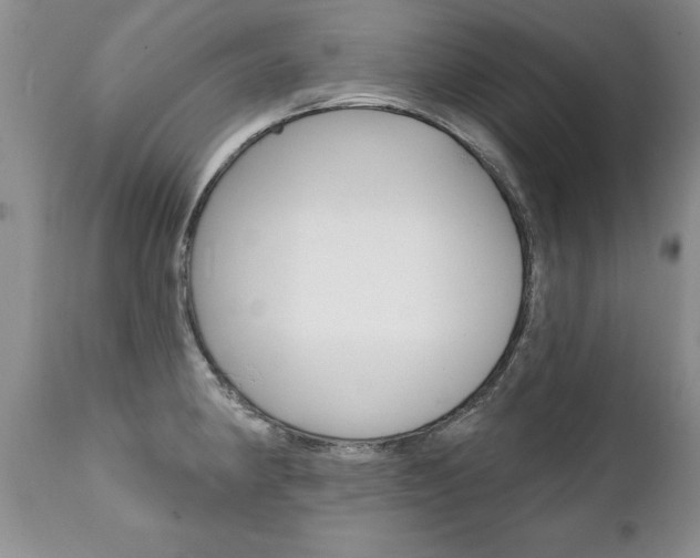 X0000111131190200906301058