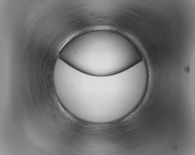 X0000111131193200906301058