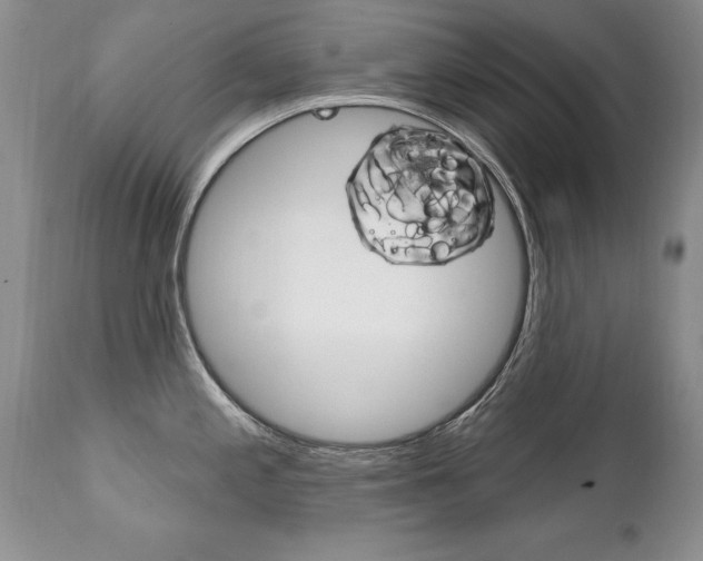 X0000111131197200906301058