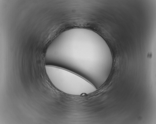 X0000111131202200906301057