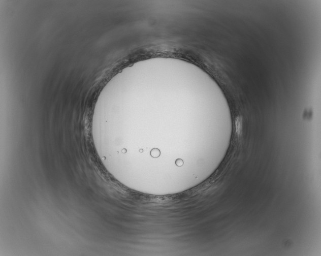 X0000111131203200906301057