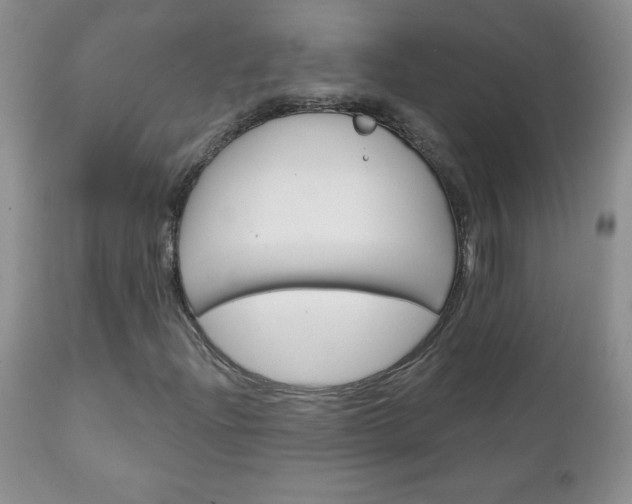 X0000111131204200906301057