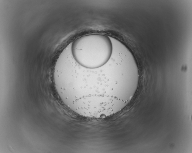 X0000111131205200906301057