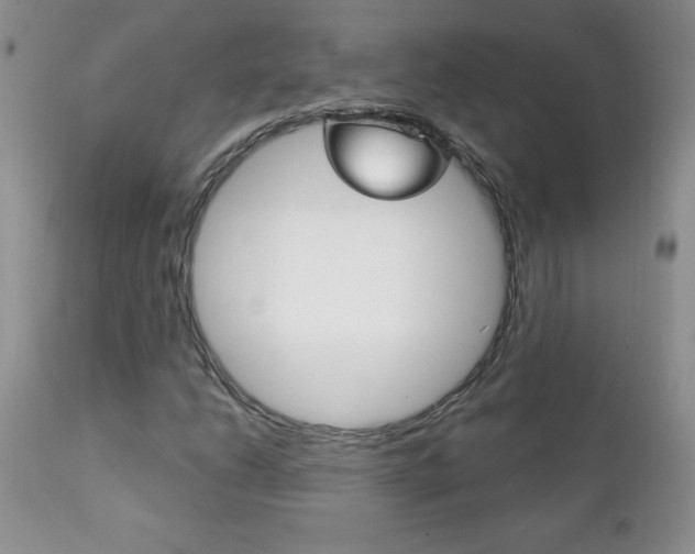 X0000111131206200906301057
