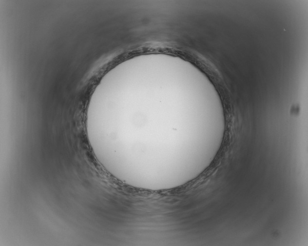 X0000111131207200906301057