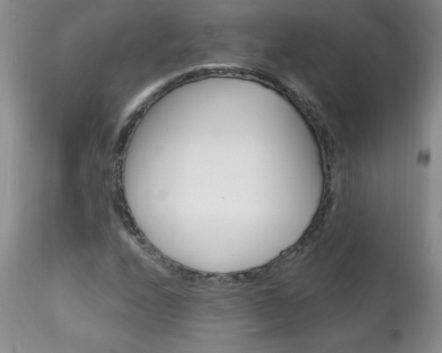 X0000111131208200906301057