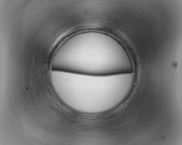 X0000111131210200906301057