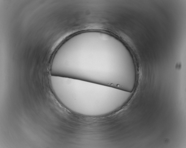 X0000111131212200906301057
