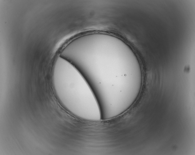 X0000111131214200906301057