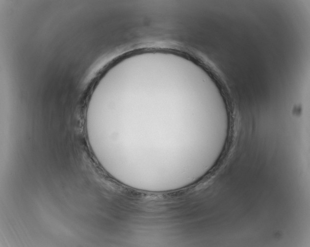 X0000111131215200906301057