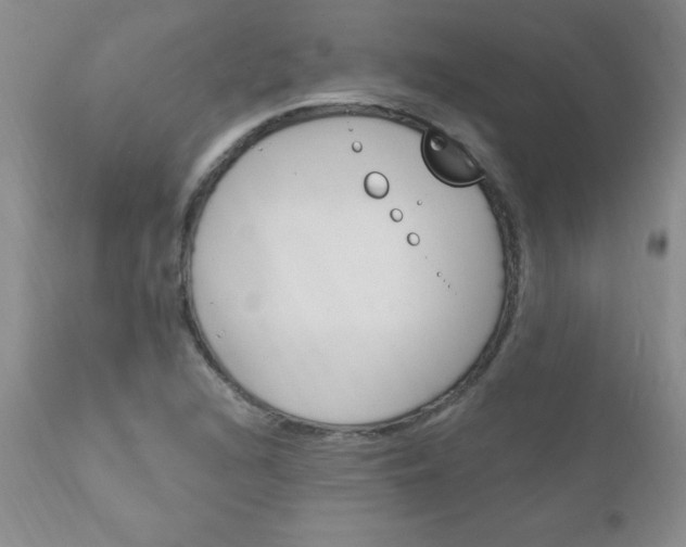 X0000111131216200906301057