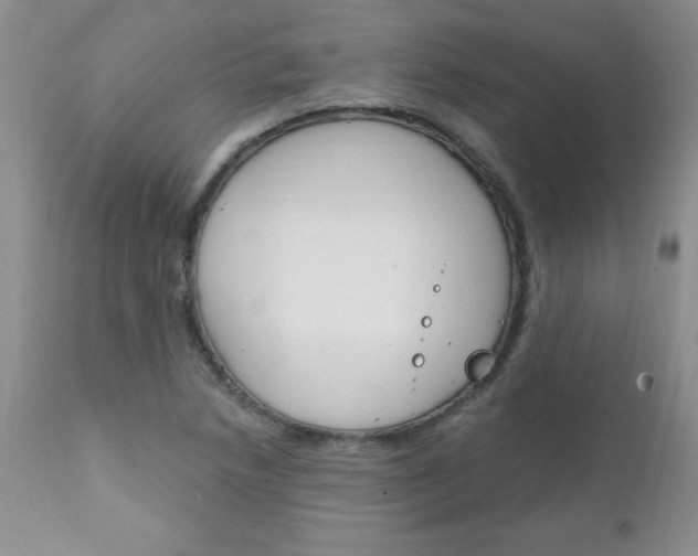 X0000111131218200906301057