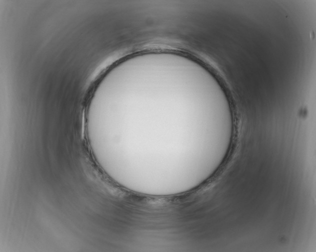 X0000111131219200906301057