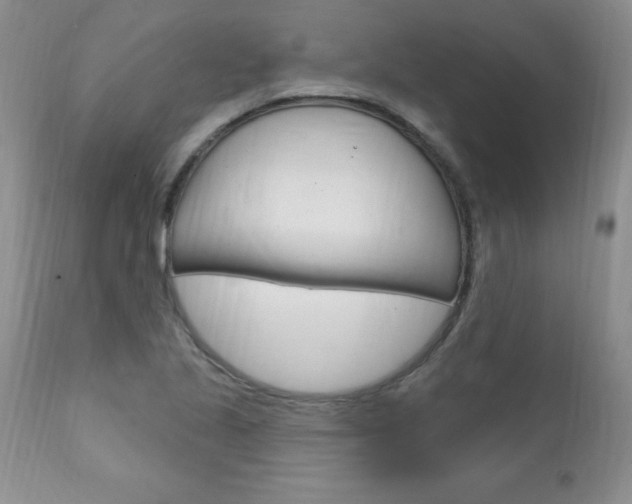 X0000111131221200906301057