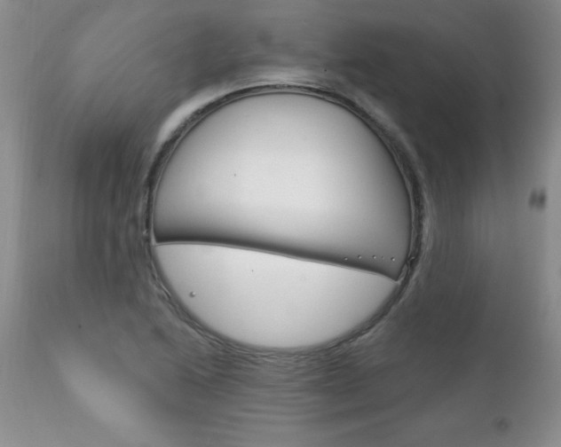 X0000111131222200906301057