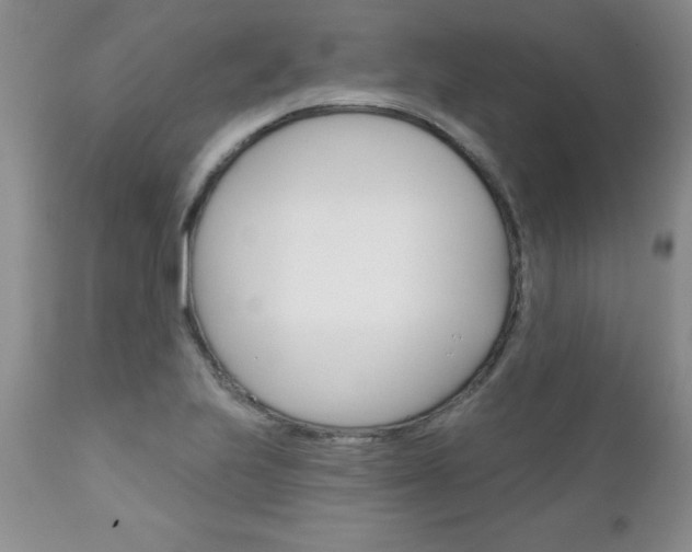 X0000111131223200906301057