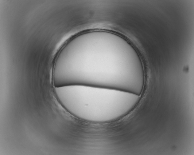 X0000111131224200906301057