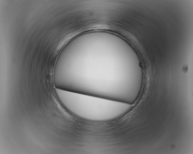 X0000111131225200906301057