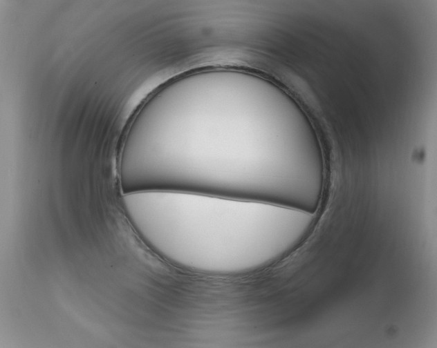 X0000111131226200906301057