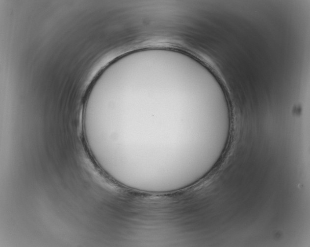 X0000111131227200906301057