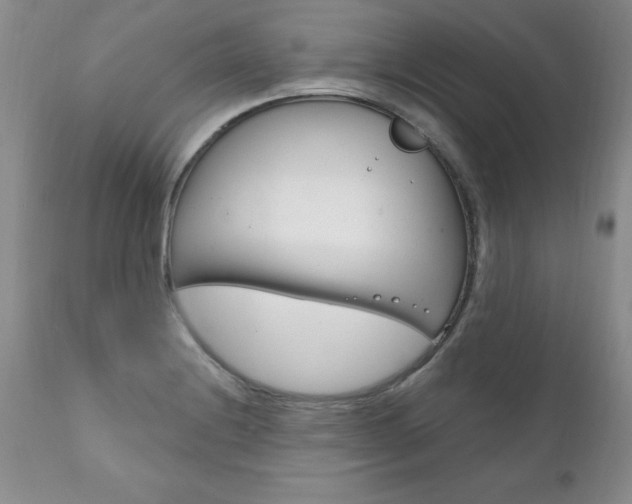 X0000111131228200906301057