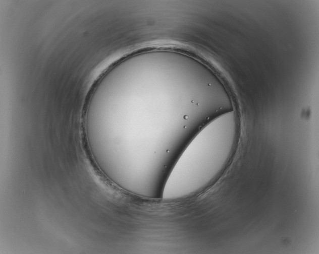 X0000111131229200906301057