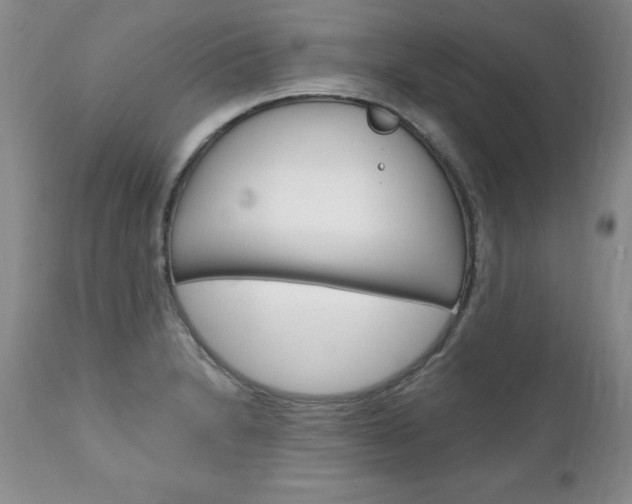 X0000111131230200906301057