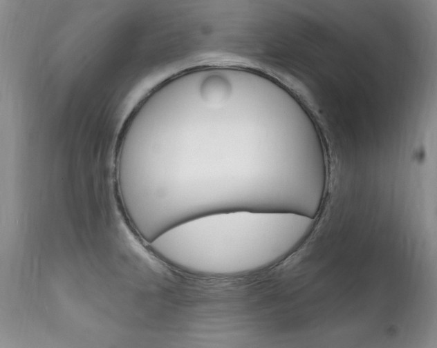 X0000111131231200906301057
