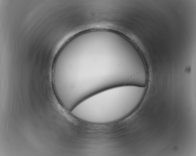 X0000111131232200906301057
