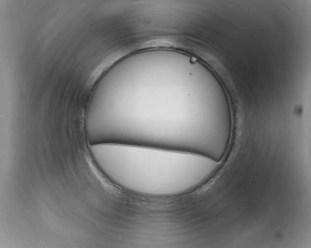X0000111131233200906301057