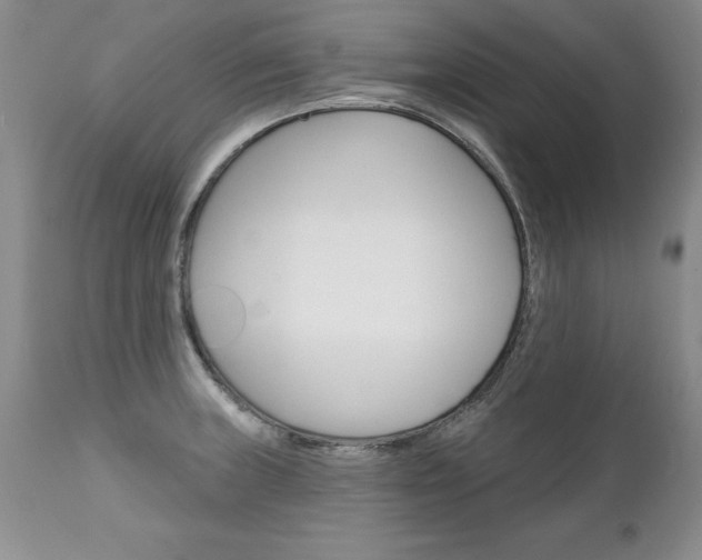 X0000111131235200906301057