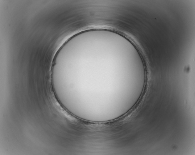 X0000111131236200906301057