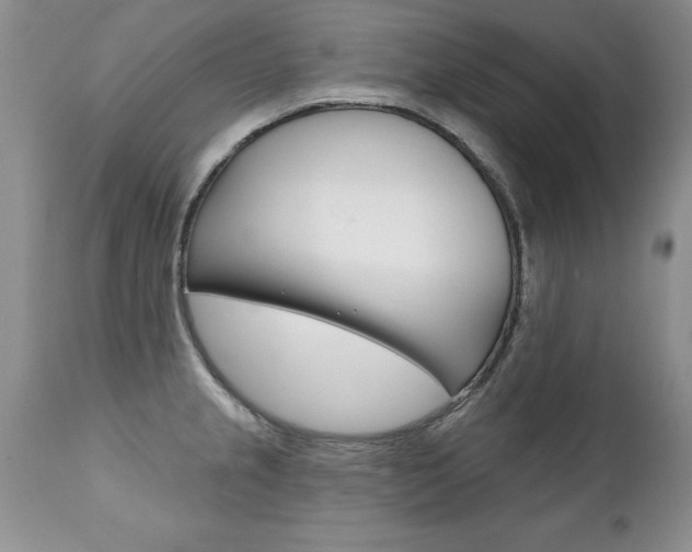X0000111131237200906301057