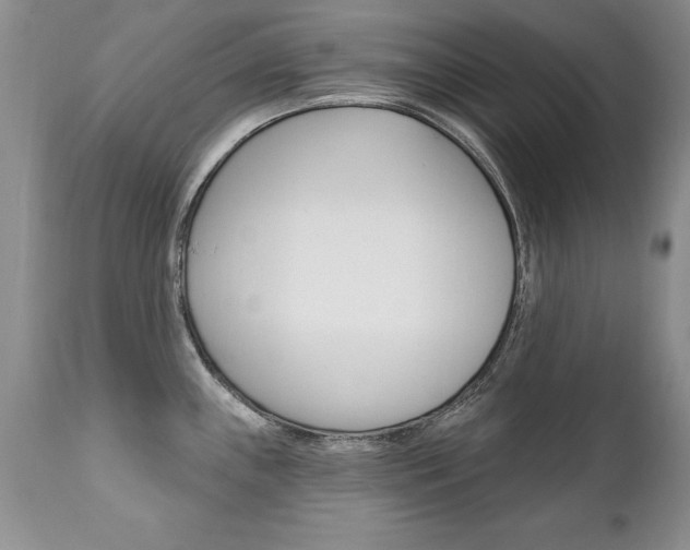 X0000111131243200906301058